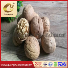 Best and Wonderful Walnut in Shell for People